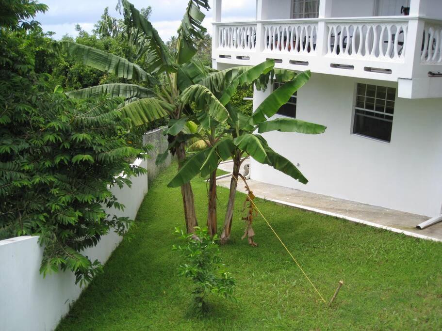 Selen'S Apartment In Ti Rocher Micoud Saint Lucia 外观 照片